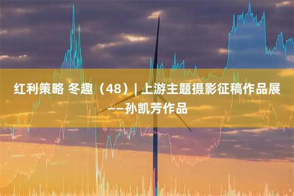 红利策略 冬趣（48）| 上游主题摄影征稿作品展——孙凯芳作品