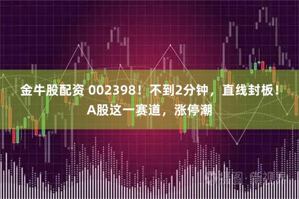 金牛股配资 002398！不到2分钟，直线封板！A股这一赛道，涨停潮