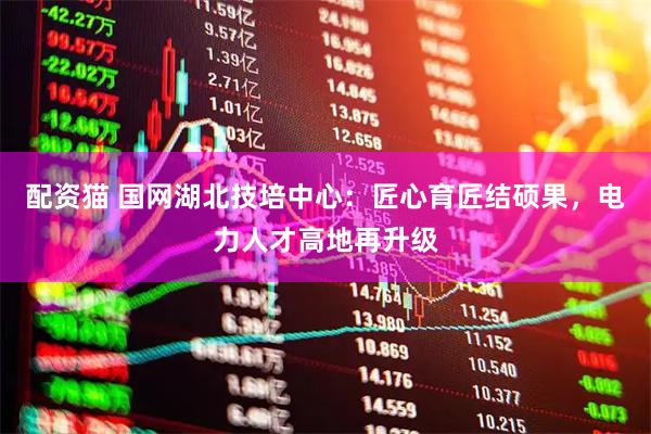 配资猫 国网湖北技培中心：匠心育匠结硕果，电力人才高地再升级