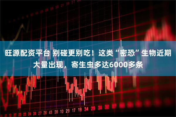 旺源配资平台 别碰更别吃！这类“密恐”生物近期大量出现，寄生虫多达6000多条